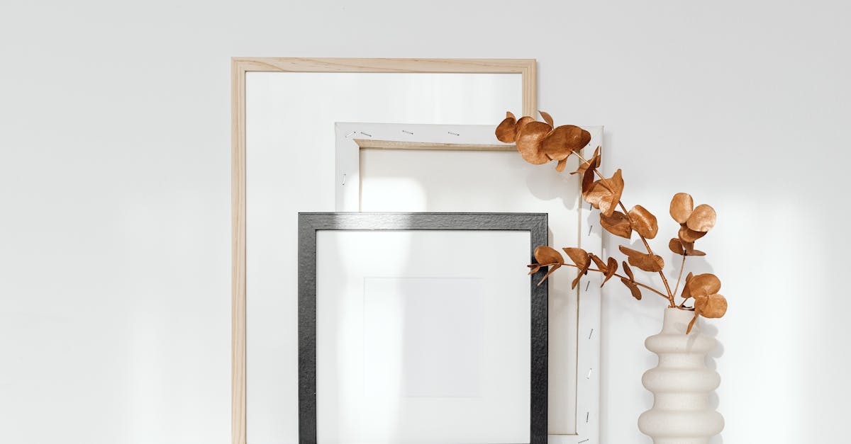 découvrez les tendances de design les plus innovantes et captivantes de l'année. explorez les styles, les couleurs et les inspirations qui transforment l'esthétique moderne et donnent vie à vos projets créatifs.
