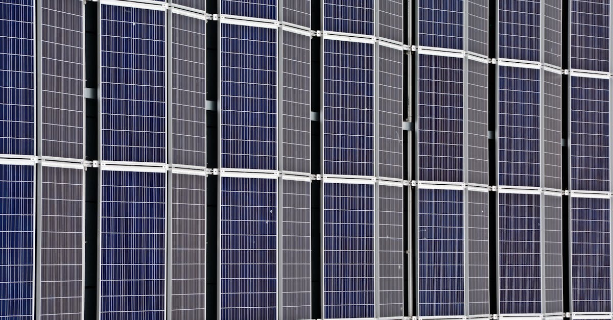 découvrez comment la durabilité transforme notre monde. explorez des idées, des pratiques et des solutions pour un avenir plus vert et responsable, tout en préservant nos ressources et en protégeant notre planète.