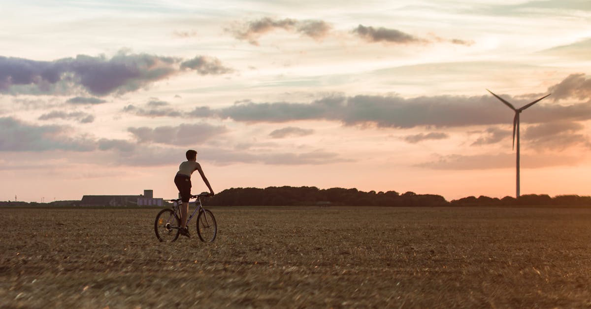 découvrez l'importance de la durabilité et comment elle transforme nos modes de vie. explorez des solutions écologiques, des pratiques durables et des initiatives qui préservent notre planète pour les générations futures.