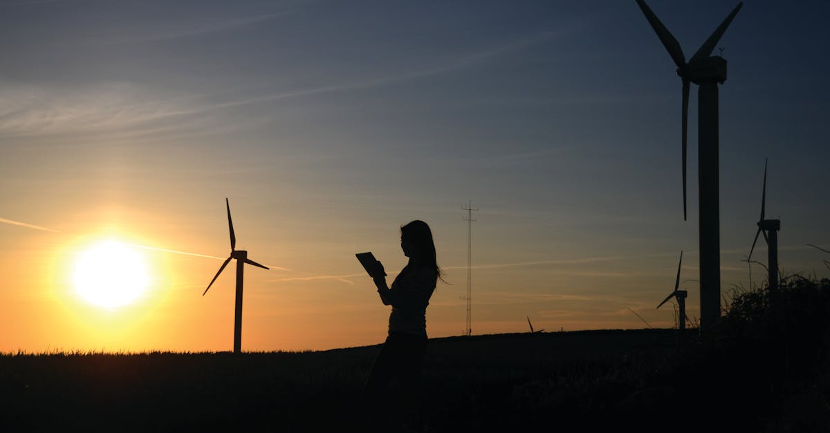 découvrez l'importance de la durabilité et son impact sur notre environnement. explorez des solutions innovantes pour un avenir plus vert et des pratiques responsables qui préservent notre planète pour les générations futures.